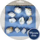 Craft Pack - White Iced Gems